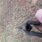 20180824_171706.jpg
