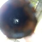 20180827_081417.jpg