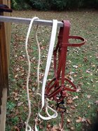 HalterBridle1.JPG