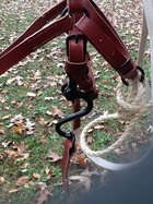 HalterBridle3.JPG
