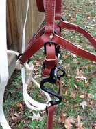 HalterBridle4.JPG