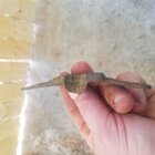 20181118_144006.jpg