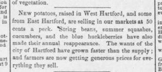 huckl 1863.JPG
