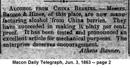 chinaberry.png
