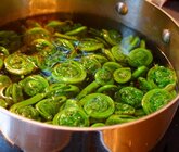How-to-cook-fiddleheads-boil-720x611.jpg How-to-cook-fiddleheads-boil-720x611.jpg