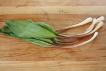 How-to-cook-fiddleheads-ramps-720x480.jpg How-to-cook-fiddleheads-ramps-720x480.jpg