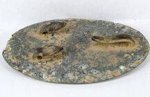 P1738C.jpg