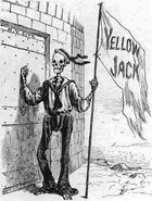 Yellow-Jack-510x671.jpg