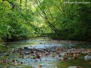 chattahooch33_zpsx4cihb10.jpg