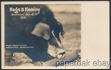 1915-Hogs-Hominy-Bismark-North-Dakota-Real.jpg