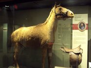 dsc03394-jpg.jpg