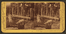 effects_of_union_shot_and_shell_on_culps_hill_by_tipton_william_h-_1850-1929.png