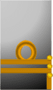 75px-Confederate_States_of_America_Commander-Navy.png