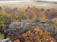 dsc01829-jpg.jpg