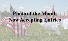 potm2015_zpsgajrzb7c.jpg