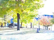 20091123101016_IM000494A.jpg