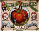 tomatoes ad for sale.jpg tomatoes ad for sale.jpg