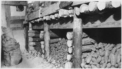 _vegetables_stored_in_root_cellar._-_NARA_-_293597.jpg