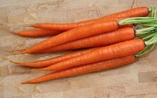 512px-CarrotRoots.jpg