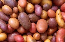 512px-Patates.jpg