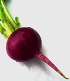 512px-Beet_it_%28295804450%29.jpg 512px-Beet_it_%28295804450%29.jpg