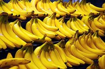512px-Bananas.jpg 512px-Bananas.jpg