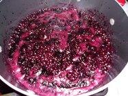 101_0842.JPG