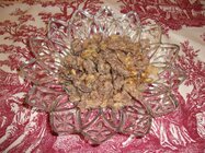 101_0849.JPG 101_0849.JPG
