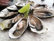 512px-Pacific_oysters.jpg