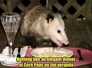 on-a-warm-autumn-evening.jpg