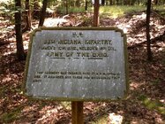 image-400757906.jpg