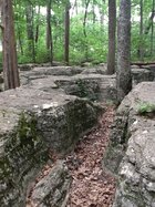 image-3235283775.jpg
