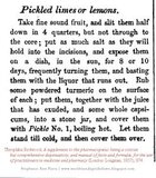 Pickled%2BLimes%2Blemons%2B1857.jpg Pickled%2BLimes%2Blemons%2B1857.jpg
