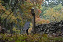 DSC_0528.JPG
