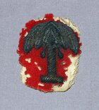 Palmetto Insignia.jpg