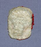 Palmetto Insignia Back.jpg