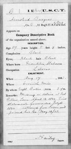 Page 5.jpg