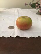 Magnum Bonum Apple.jpg