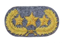 confederate general star 3.jpg
