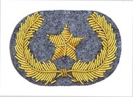 confederate general star 1.jpg