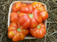 IMG_4593.webp IMG_4593.webp