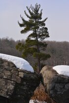 DSC_1616.JPG