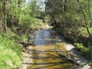 IMG_0956.JPG