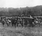 57thInfPhotoAmbulanceCorps_MillerVII_299.jpg