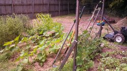 IMG_20150613_140415_165.jpg