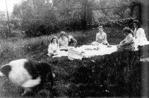 picnic 6.JPG
