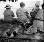 picnic 16.JPG picnic 16.JPG