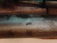 IMG_20151013_201832.jpg
