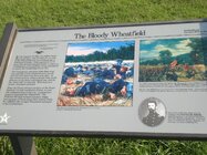 Wheatfield - Wayside Marker 2015.JPG