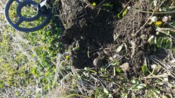 20160403_092422.jpg